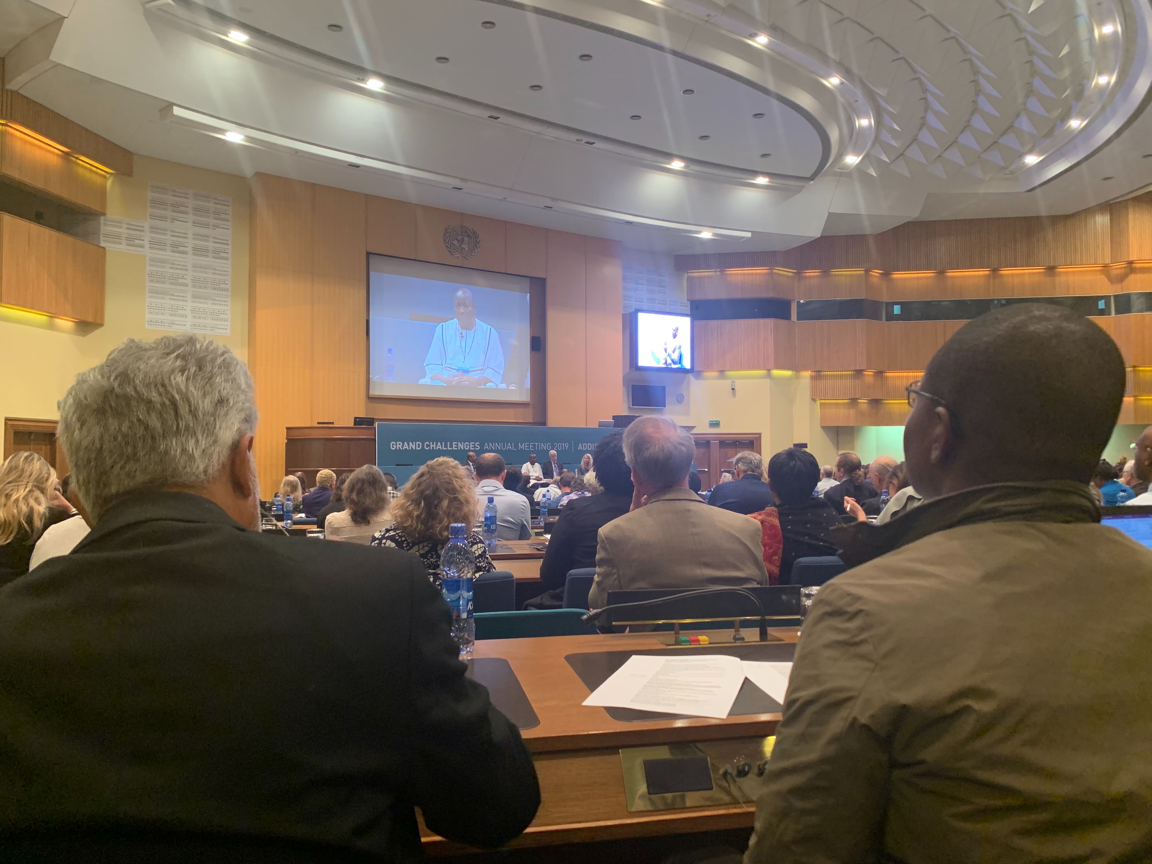 Grand Challenges summit at the United Nations in Ethiopia 2019