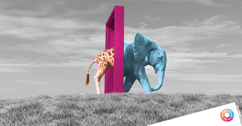 A giraffe is entering a portal but an elephant is coming out. An image about new perspective.